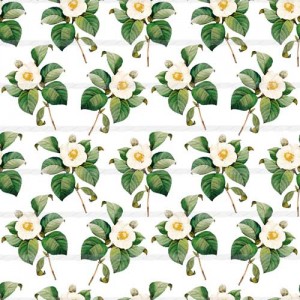 Vintage flowers